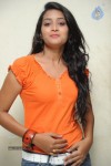 Bhanu Sri Stills - 44 of 65