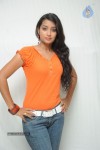 Bhanu Sri Stills - 47 of 65