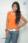 Bhanu Sri Stills - 48 of 65