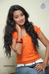 Bhanu Sri Stills - 49 of 65