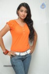 Bhanu Sri Stills - 51 of 65