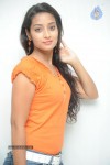 Bhanu Sri Stills - 52 of 65