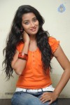 Bhanu Sri Stills - 53 of 65