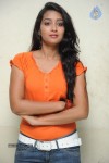 Bhanu Sri Stills - 58 of 65