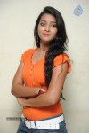 Bhanu Sri Stills - 61 of 65