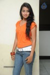 Bhanu Sri Stills - 65 of 65