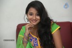 Bhanu Sri Stills - 92 of 100