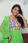 Bhanu Sri Stills - 96 of 100
