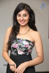 Bhanusri Mehra New Stills - 44 of 89