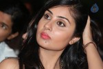 Bhanusri Mehra New Stills - 68 of 89