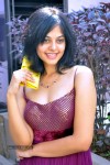 Bindu Madhavi Stills - 3 of 78