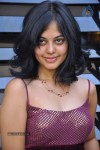 Bindu Madhavi Stills - 14 of 78