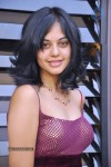 Bindu Madhavi Stills - 45 of 78