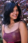 Bindu Madhavi Stills - 62 of 78