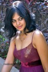 Bindu Madhavi Stills - 64 of 78