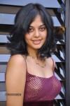 Bindu Madhavi Stills - 72 of 78