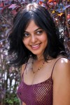 Bindu Madhavi Stills - 76 of 78