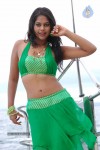 Bindu Madhavi Hot Pics - 60 of 69