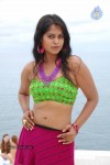 Bindu Madhavi Hot Pics - 63 of 69