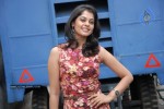 Bindu Madhavi Latest Photos - 17 of 52