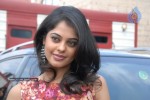 Bindu Madhavi Latest Photos - 43 of 52