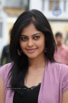 Bindu Madhavi Latest Stills - 48 of 50