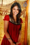  Bindu Madhavi Latest  Gallery - 9 of 41