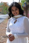 Bindu Madhavi New Photos - 3 of 6