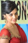 Bindu Madhavi New Stills - 23 of 32