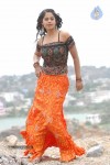 Bindu Madhavi Stills - 5 of 27