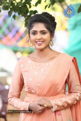 Charishma Shreekar Photos - 16 of 17