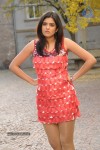 Deeksha Seth Hot Gallery - 43 of 61