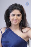 Deeksha Seth Hot Photos  - 17 of 32