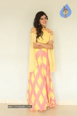 Dhanya Bala Krishna Photos - 12 of 21