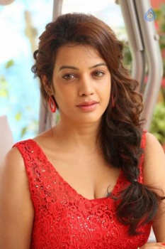 Diksha Panth Photos - 14 of 55