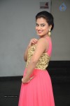 Dimple Chopade Stills - 64 of 66