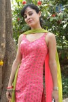 Disha Pandey New Photos - 69 of 72