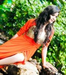 Gehana Vasisth New Pics - 5 of 44