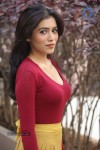 Ghazal Somaiah New Stills - 1 of 188