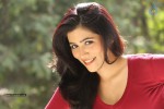 Ghazal Somaiah New Stills - 77 of 188