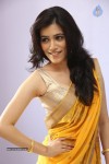Gazal Somaiah Stills - 9 of 126