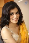 Gazal Somaiah Stills - 62 of 126