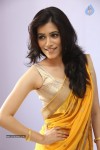 Gazal Somaiah Stills - 102 of 126