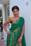 Greeshma Hot Stills - 66 of 111