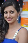 Hamsa Nandhini Hot Stills - 65 of 75