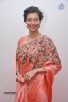 Hamsa Nandini Hot Stills - 18 of 33