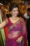 Hamsa Nandini Hot Stills - 58 of 152