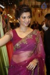 Hamsa Nandini Hot Stills - 63 of 152