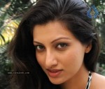 Hamsa Nandini New Stills - 2 of 42