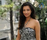 Hamsa Nandini New Stills - 8 of 42